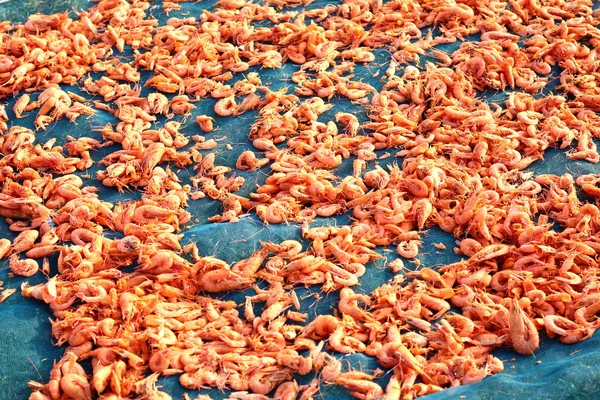Camarones secos es el mejor de los productos del mar logística en Asia, han —  Fotos de Stock