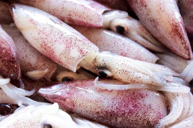 taze kalamar Tay piyasada tepsi üzerinde yatıyordu.