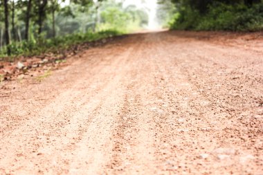 Kırsal alanda toprak yol 