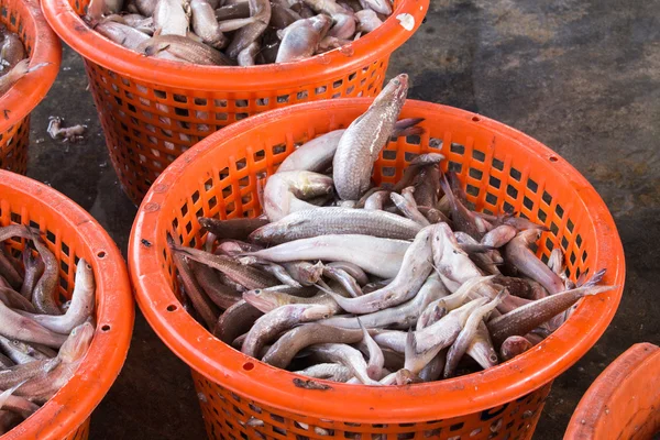 Apilado de pescado fresco en cesta vendido en el mercado de muelles de pescado —  Fotos de Stock
