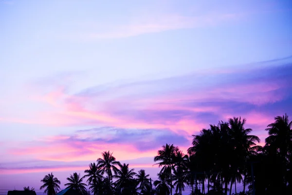 Solnedgång dröm sky sweety silhuett raden av tall och berg — Stockfoto