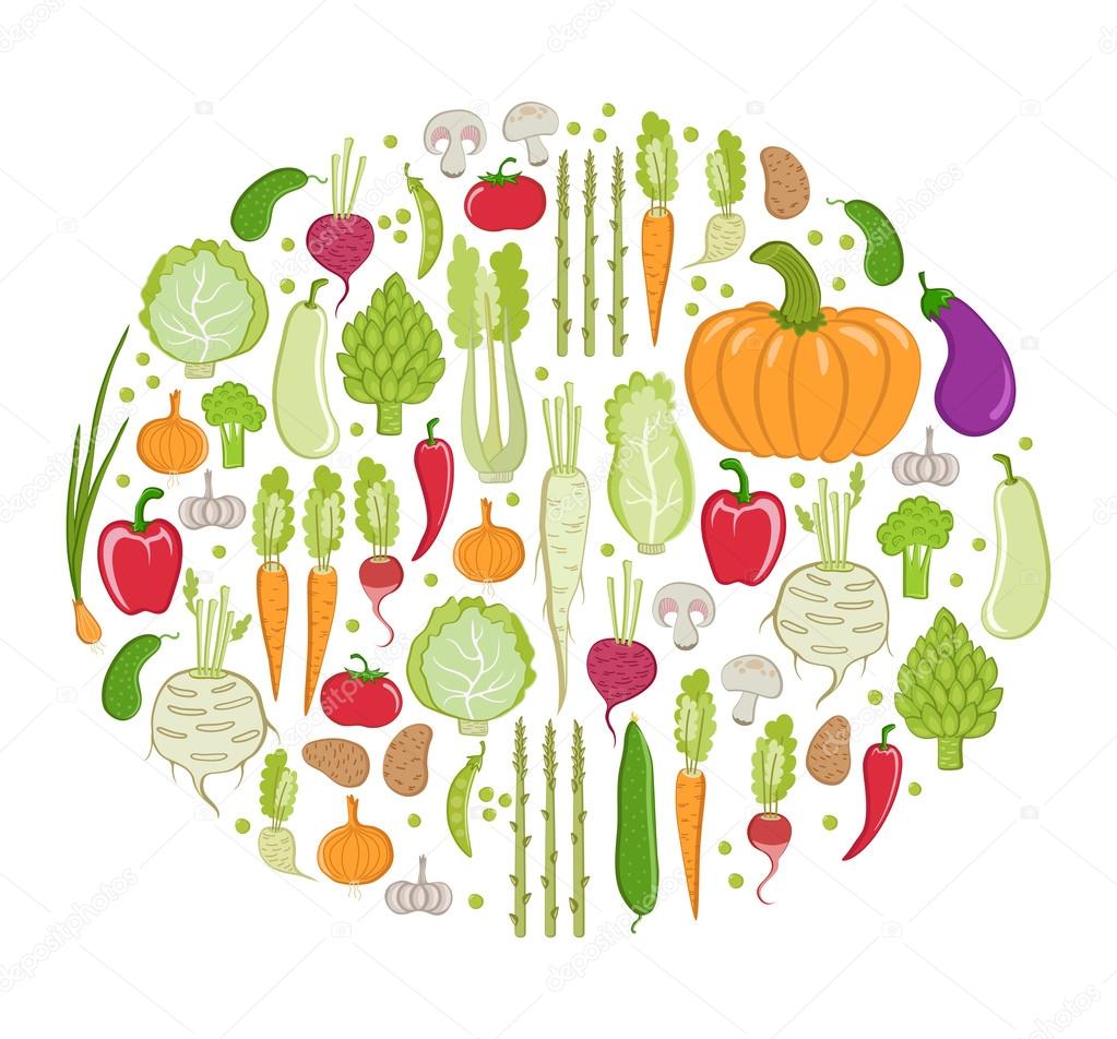 Vector card. healthy vegetable on white background