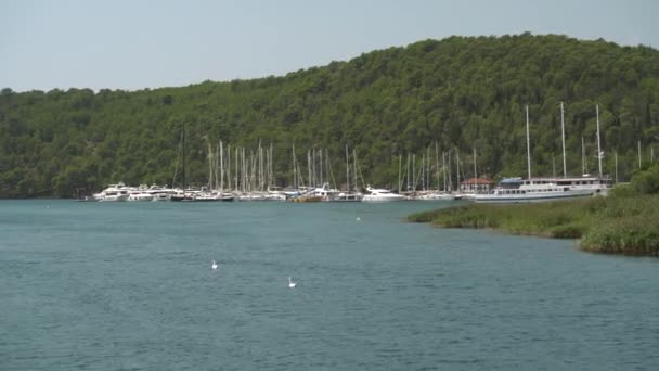 Yachten in Skradin Stadt in der Nähe des Nationalparks Krka, Kroatien - 4K, Handheld — Stockvideo