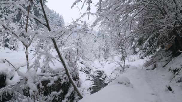 Snöig ström i Karpaterna regionen, västra Ukraina - 4K, Brett skott, Binaural Audio — Stockvideo
