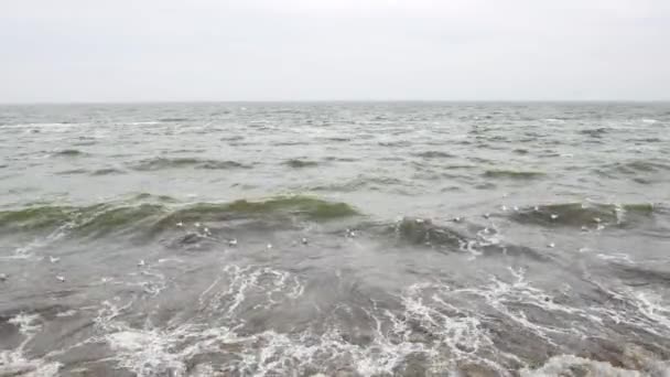 Mar Negro tempestuoso en primavera en la costa de Odesa, Ucrania - 4K, Audio — Vídeos de Stock