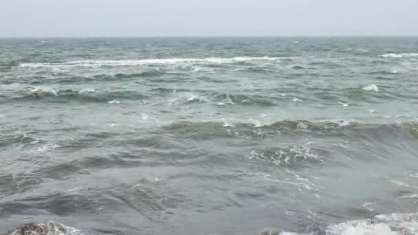 Svarta havet vid stormigt väder en mulen dag på våren vid Odesas kust, Ukraina - 4K — Stockvideo
