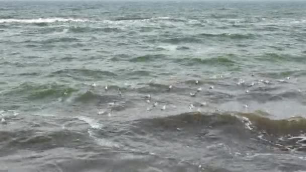 Mar Negro na tempestade na primavera em Odesa, Ucrânia - 4K, Handheld, Áudio — Vídeo de Stock