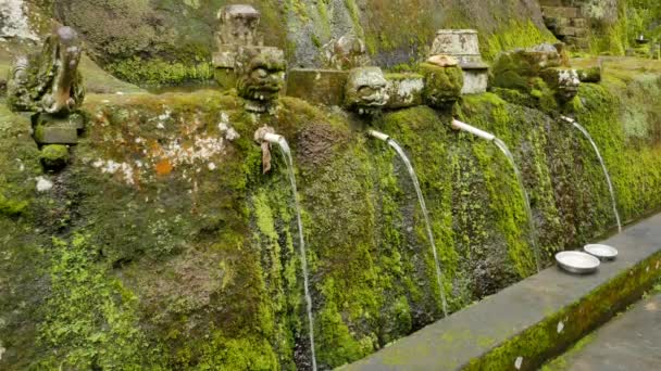 Correntes de água decorações de pedra cobertas com musgo verde em um lugar sagrado em Bali - 4K, Handheld — Vídeo de Stock