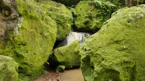 Stora stenar täckta av klargrön mossa och ett litet vattenfall på en helig plats på Bali - 4K, Medium shot — Stockvideo