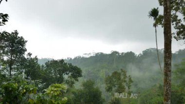 Yağmurdaki ormanlara ve turistik alandaki Bali tabelasına bakın. 4K, El bilgisayarı.