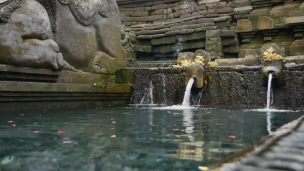 Fluxos de primavera com ofertas de deuses no Templo Pura Tirta Empul - 4K, Handheld, Low angle — Vídeo de Stock