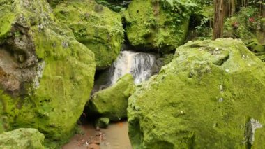 Bali 'de kutsal bir yerde parlak yeşil yosunlarla kaplı büyük kayaların arasında küçük bir şelale - 4K, Audio, Handheld, Medium shot