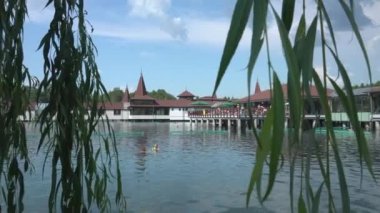 Termal Heviz Gölü, Macaristan - 4K, Editör, El bilgisayarı