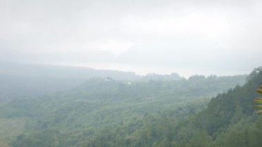 Bali 'deki yeşil tepelerde sis ve tropikal bitki manzarası - 4K, Pan