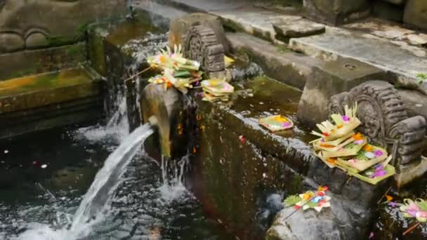 Áldozatok a kő dekorációk Pura Tirta Empul Temple és a nő megközelíti a szentelt víz patakok - 4K, Szerkesztőség, Kézi, Sekély Mélysége Field — Stock videók