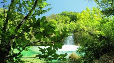 KRKA Ulusal Parkı, CROATIA - SEPTEMBER 3, 2021: Ön planda yeşil incir ağacı ve arka planda Krka Ulusal Parkı 'nda turkuaz suyu bulunan küçük bir şelale. 4K, 60 fps