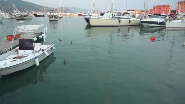 Água azul-turquesa e barcos no ancoradouro em Rapallo no pôr do sol de verão, Itália - 2K, Editorial, Wide shot, Tilt — Vídeo de Stock