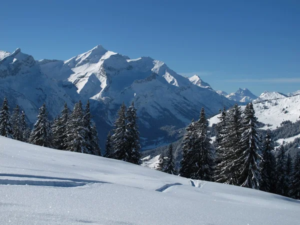 Winter scenery near Gstaad, Oldenhorn — Stock Photo, Image