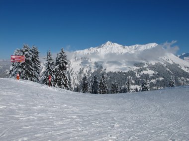 Skiing day on the Wispile