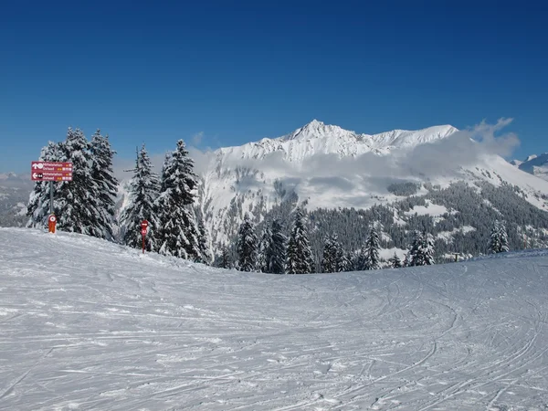 Skiing day on the Wispile — Stock Photo, Image