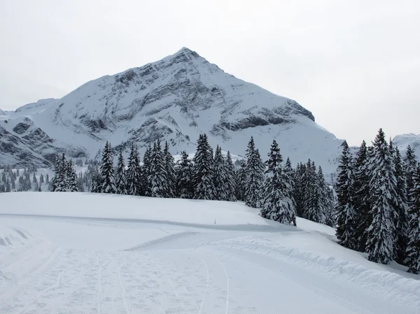 Spitzhorn in the winter — Stock Photo, Image