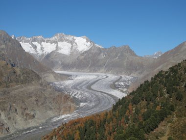 Aletsch Buzulu, Alpler'deki en uzun Buzulu.