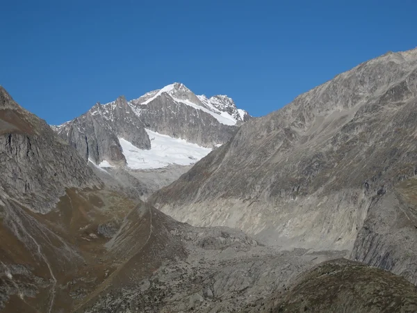 Schinhorn. — Fotografia de Stock