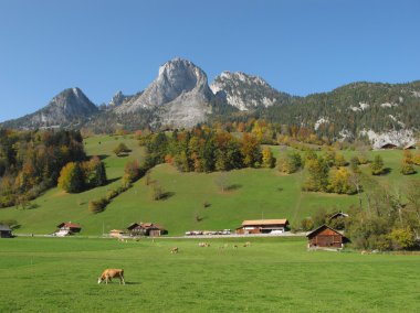 simmental sonbahar sahne