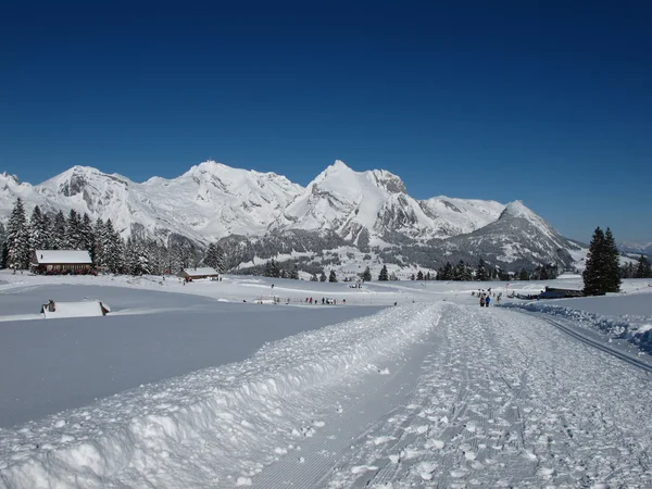 Mt saentis スイス アルプスの素晴らしい冬の日 — ストック写真