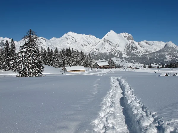 Sellamatt і Mt Saentis — стокове фото