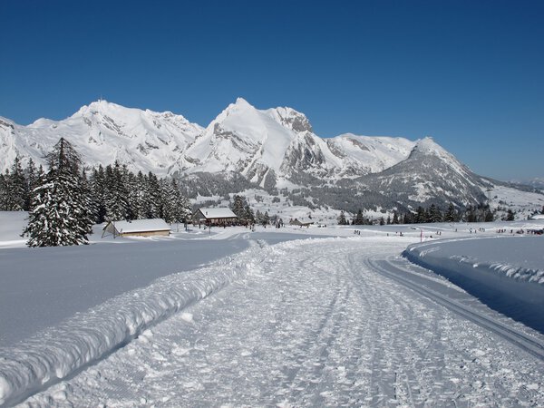Beautiful winter landscape in the Toggenburg, Mt Saentis