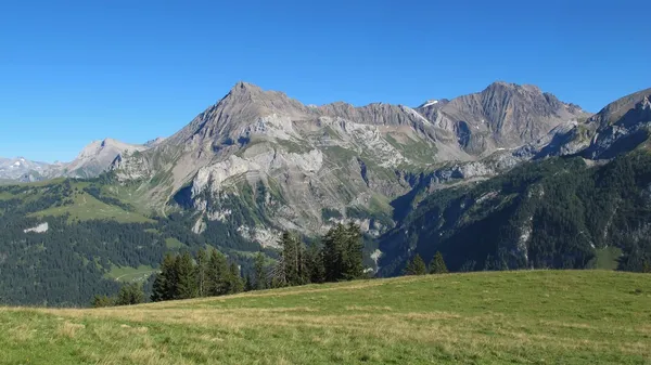 Hermosas montañas cerca de Gstaad — Foto de Stock