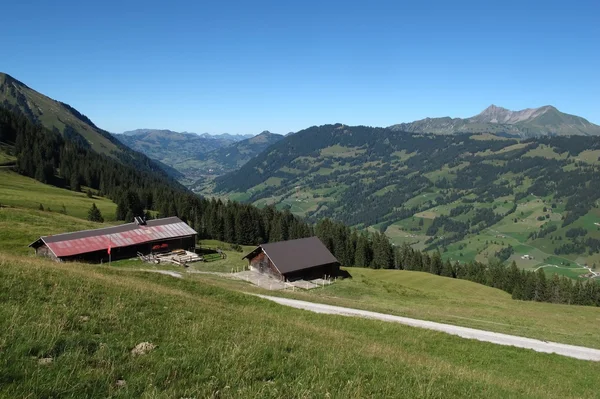 Bela Saanenland, região dos Alpes Suíços — Fotografia de Stock