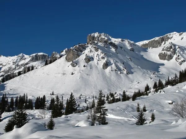 Paisagem de inverno idílico, montanhas e árvores — Fotografia de Stock