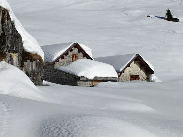Idyllic winter scene — Stock Photo, Image