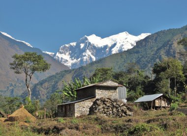 çiftlik annapurna koruma alanı, Himalayalar, nepal