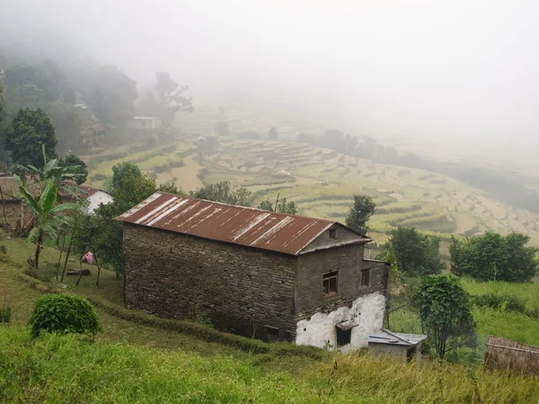Farm in Nepal — Stock Photo, Image