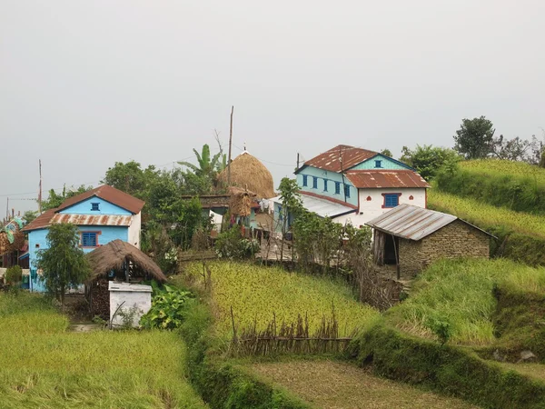 Beautiful little village near Pokhara, rice fields. — Stock Photo, Image