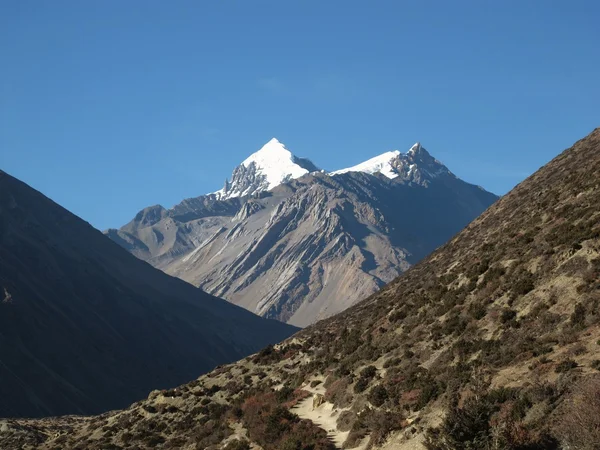 Hora v chráněné oblasti annapurna, Nepál. — Stock fotografie