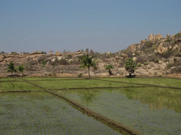Landskap i karnataka, Indien. — Stockfoto