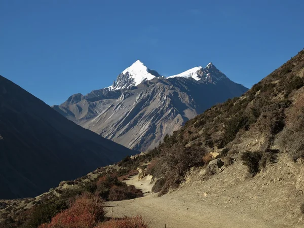 Syagang, berg på vägen från manang till ledar — Stockfoto