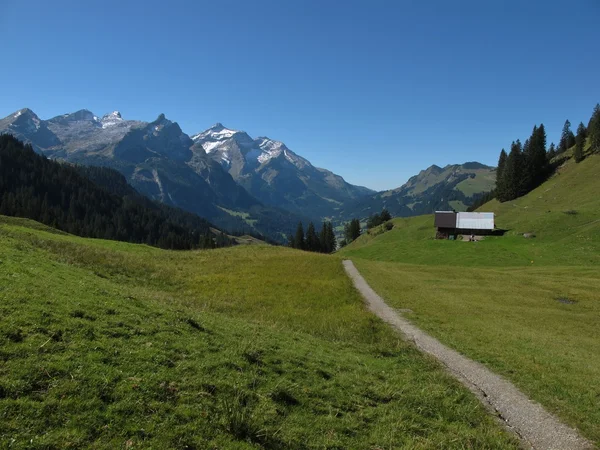 Trekking pad in het Berner oberland — Stockfoto