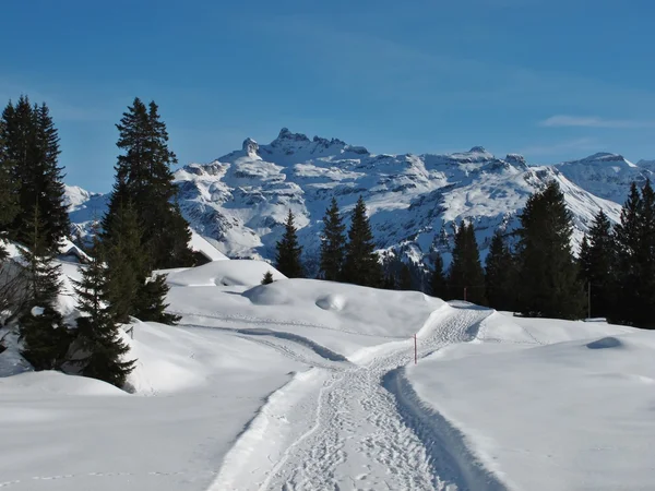 braunwald kış sahne