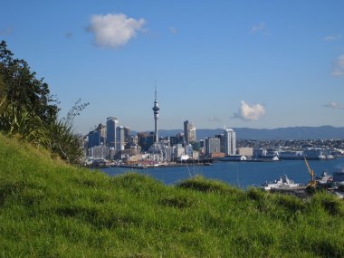 Auckland, Yeni Zelanda Manzarası.