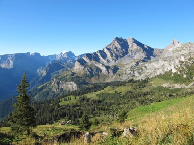 braunwald görüntülemek