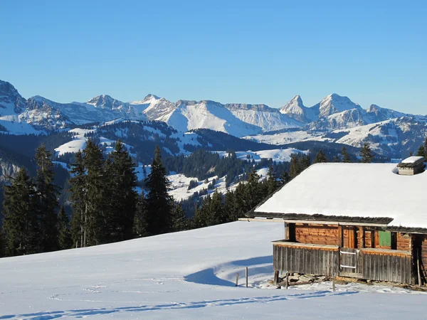 Vinter scen i bernese oberland — Stockfoto