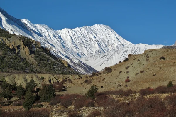 Pico de Tilicho coberto de neve — Fotografia de Stock