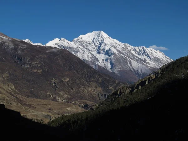 Snow capped Pisang Peak — Stockfoto