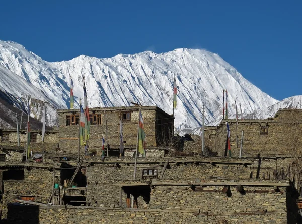 Snow capped Tilicho Peak and old houses — Stock Photo, Image