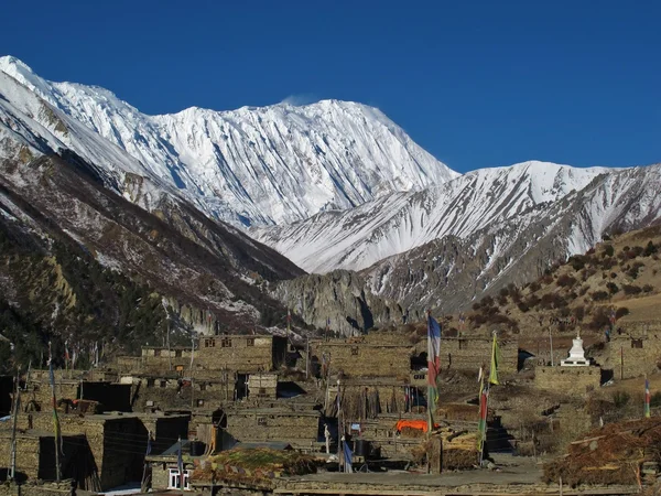 Khangsar and snow capped Tilicho Peak — Stock Photo, Image
